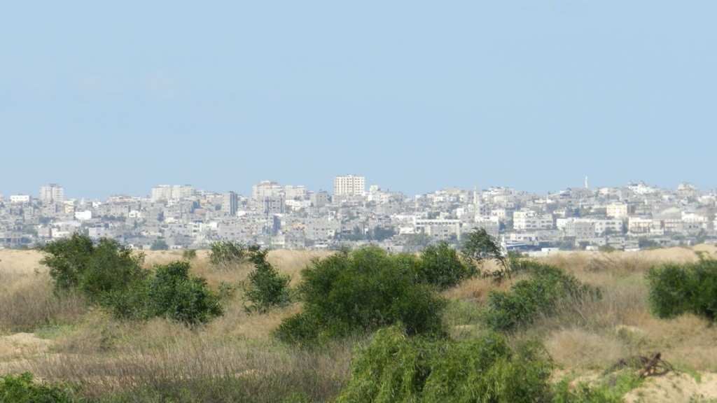 DSCN8830-1
