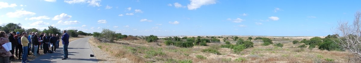 DSCN8836-1